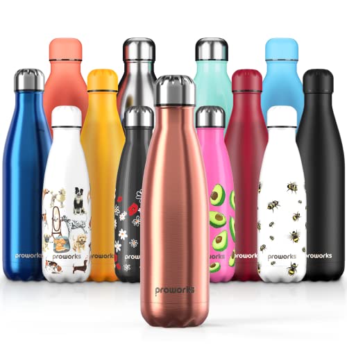 Proworks Botellas de Agua Deportiva de Acero Inoxidable | Cantimplora Termo con Doble Aislamiento...