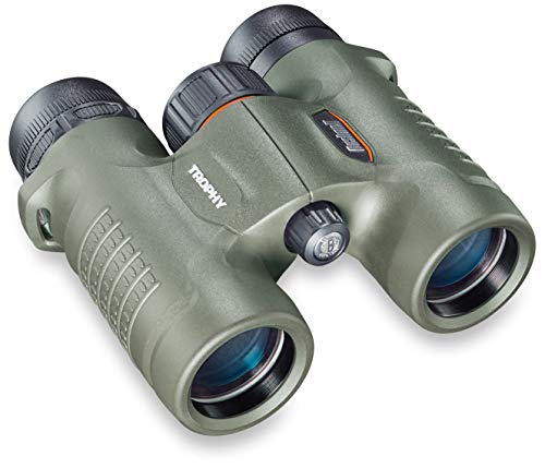 Bushnell 333208 Prismáticos, Verde, 8 x 32